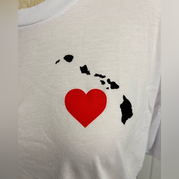 Rare Aviator Nation Hawaii Relief Boyfriend Tee - Picture 2 of 6